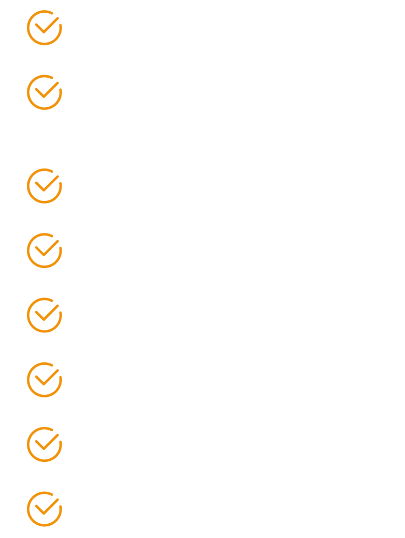 Leistungen der b12 AG IT-Leistungen der b12 AG