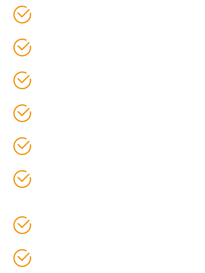 Leistungen der b12 AG IT-Leistungen der b12 AG